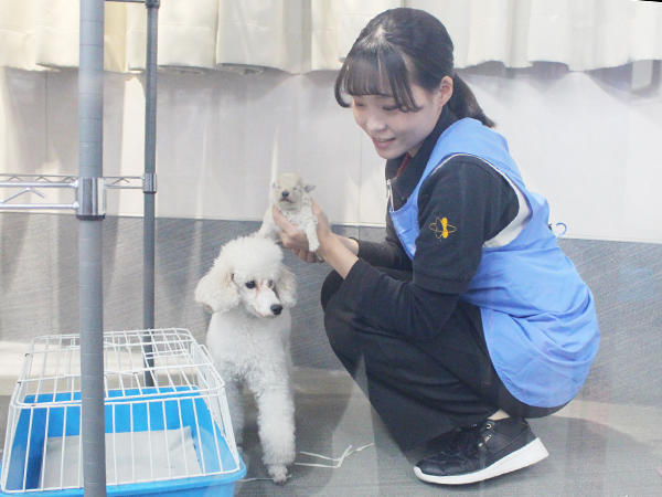 子犬と母犬は２年生がお世話します！
